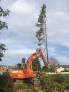 Excavator with tree shears